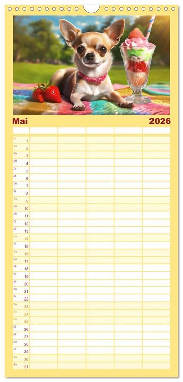 Produktbild: Familienplaner 2026 - Chillige Chihuahuas - Entspannte Fellnasen genie&szlig;en das Leben mit 5 Spalten (Wandkalender, 21 x 45 cm) CALVENDO