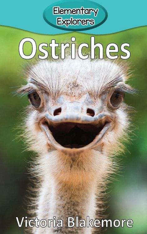 Produktbild: Ostriches