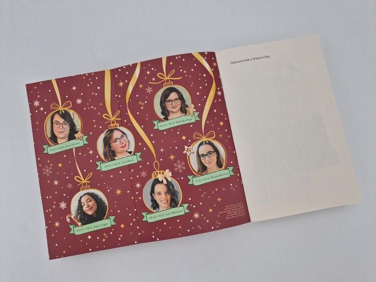 Produktbild: Delivered with a Winter&rsquo;s Kiss