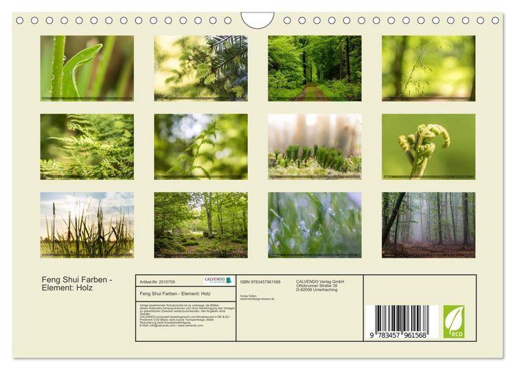 Produktbild: Feng Shui Farben - Element: Holz (Wandkalender 2026 DIN A4 quer), CALVENDO Monatskalender