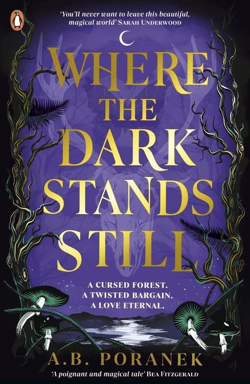 Produktbild: Where the Dark Stands Still