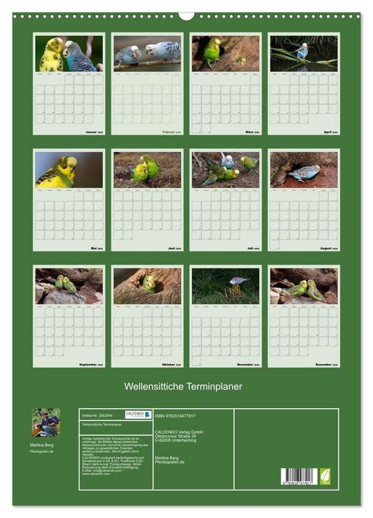 Produktbild: Wellensittiche Terminplaner (Wandkalender 2026 DIN A2 hoch), CALVENDO Monatskalender