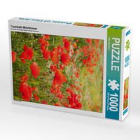 Produktbild: CALVENDO Puzzle Traumhafte Mohnblumen | 1000 Teile Lege-Gr&ouml;&szlig;e 64x48cm Foto-Puzzle f&uuml;r gl&uuml;ckliche Stunden