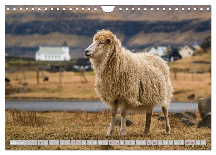 Produktbild: Traumlandschaft im Nordatlantik. F&auml;r&ouml;er Inseln (Wandkalender 2026 DIN A4 quer), CALVENDO Monatskalender