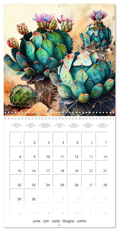 Produktbild: The Art of Succulents and Cacti (Wall Calendar 2026 12 &times; 12 Inch) CALVENDO 12 Month Wall Calendar
