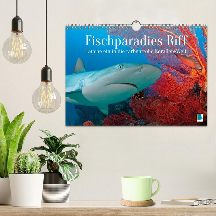 Produktbild: Fischparadies Riff (Wandkalender 2026 DIN A4 quer), CALVENDO Monatskalender