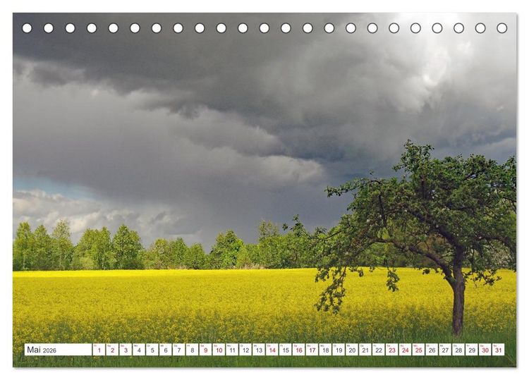 Produktbild: Wildes Wendland (Tischkalender 2026 DIN A5 quer), CALVENDO Monatskalender