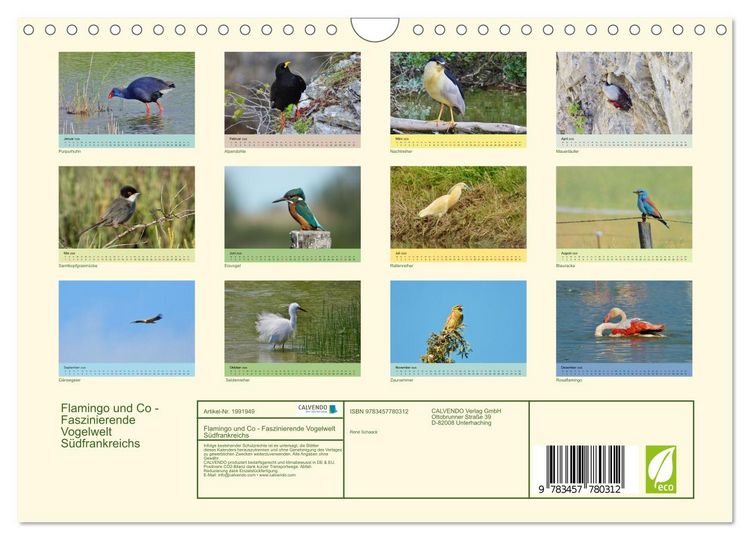 Produktbild: Flamingo und Co - Faszinierende Vogelwelt S&uuml;dfrankreichs (Wandkalender 2026 DIN A4 quer), CALVENDO Monatskalender