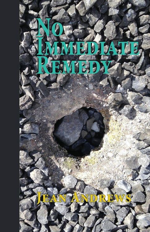 Produktbild: No Immediate Remedy