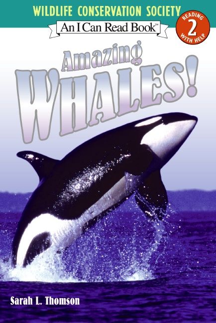 Produktbild: Amazing Whales!