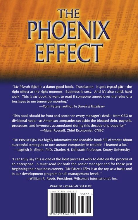 Produktbild: The Phoenix Effect