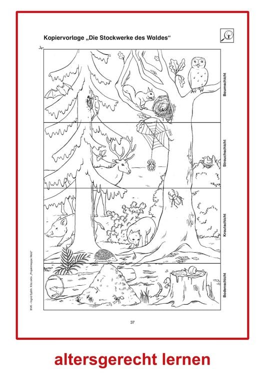Produktbild: Kita aktiv Projektmappe Wald
