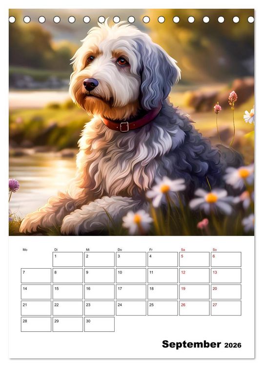 Produktbild: Aussiedoodle - Hunde zum Liebhaben (Tischkalender 2026 DIN A5 hoch), CALVENDO Monatskalender
