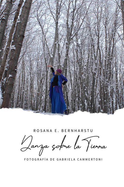 Produktbild: Danza sobre la Tierra