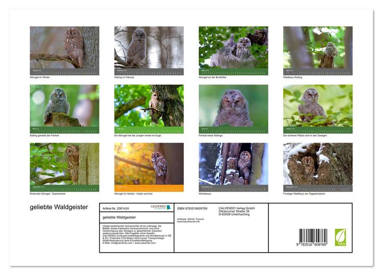 Produktbild: geliebte Waldgeister (hochwertiger Premium Wandkalender 2026 DIN A2 quer), Kunstdruck in Hochglanz