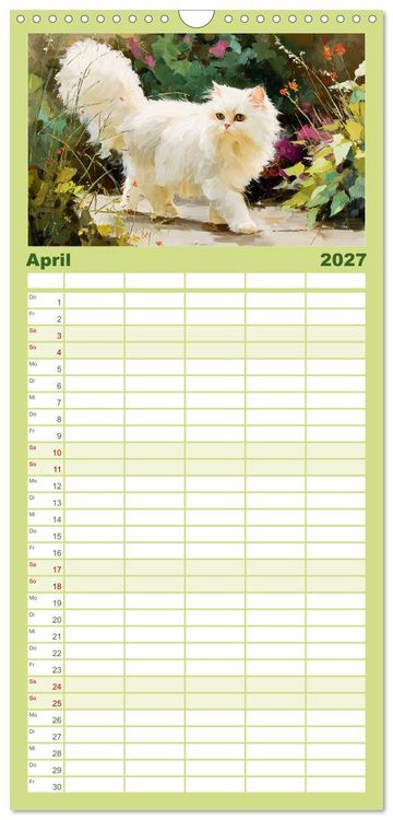 Produktbild: Familienplaner 2027 - Perserkatzen. Flauschige Momente in kunstvoller &Ouml;loptik mit 5 Spalten (Wandkalender, 21 x 45 cm) CALVENDO