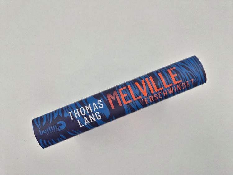 Produktbild: Melville verschwindet
