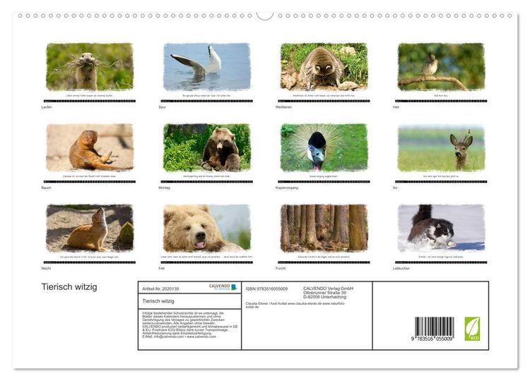 Produktbild: Tierisch witzig (hochwertiger Premium Wandkalender 2026 DIN A2 quer), Kunstdruck in Hochglanz