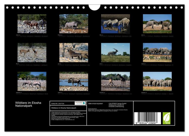 Produktbild: Wildtiere im Etosha Nationalpark (Wandkalender 2026 DIN A4 quer), CALVENDO Monatskalender