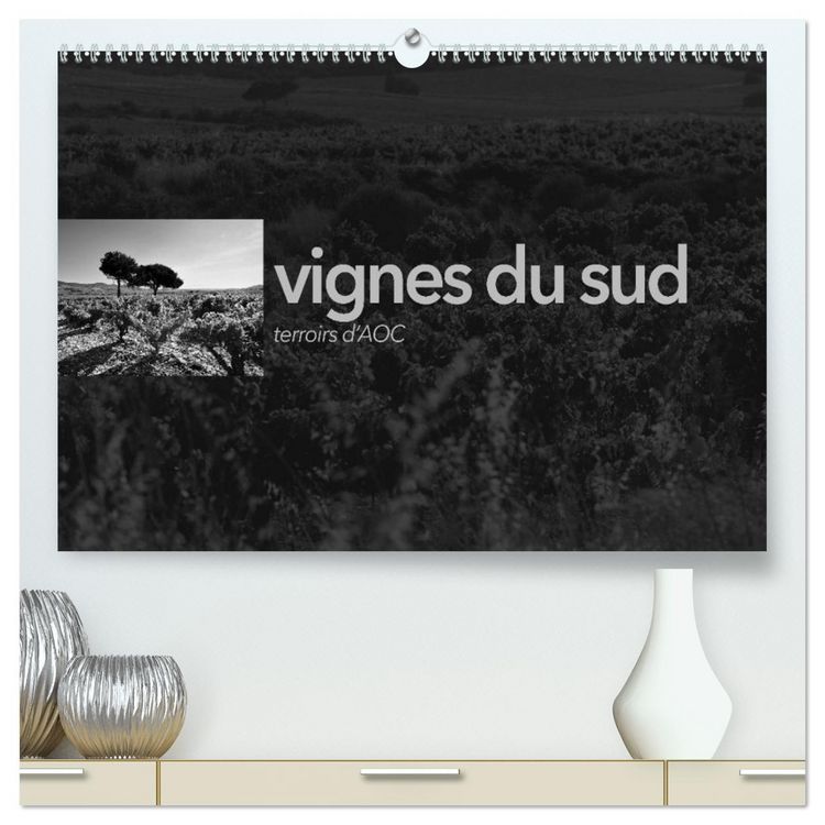 Produktbild: VIGNES DU SUD terroirs d'AOC (Calendrier mural 2026 DIN A2 vertical) calendrier de bureau