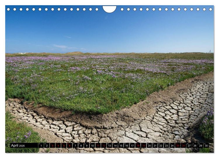 Produktbild: Norderney - von barfuss bis Cocktail (Wandkalender 2026 DIN A4 quer), CALVENDO Monatskalender