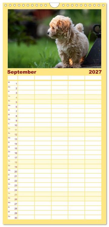 Produktbild: Familienplaner 2027 - Maltipoo Welpen mit 5 Spalten (Wandkalender, 21 x 45 cm) CALVENDO