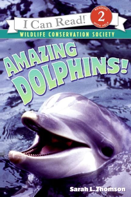 Produktbild: Amazing Dolphins!