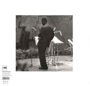 Produktbild: The Hip Walk (1LP/180g/Gatefold)