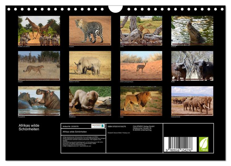 Produktbild: Afrikas wilde Sch&ouml;nheiten (Wandkalender 2026 DIN A4 quer), CALVENDO Monatskalender