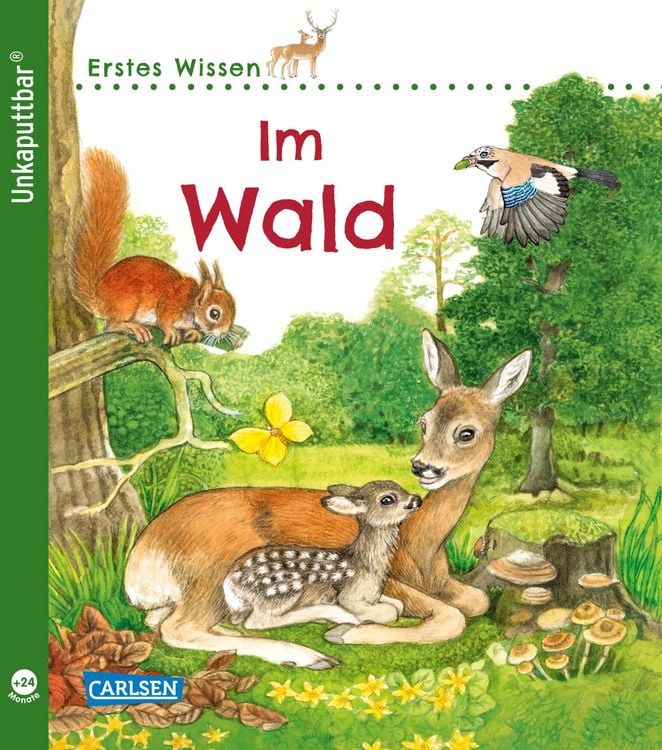 Bild vom Artikel Unkaputtbar: Erstes Wissen: Im Wald vom Autor Petra Klose