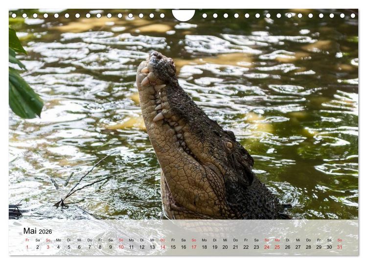 Produktbild: Gro&szlig;e Echsen. Krokodile und Alligatoren (Wandkalender 2026 DIN A4 quer), CALVENDO Monatskalender