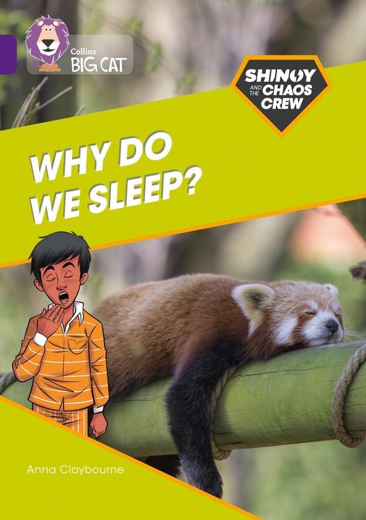 Produktbild: Shinoy and the Chaos Crew: Why do we sleep?