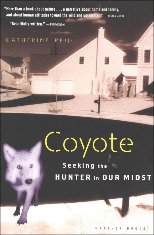 Produktbild: Coyote