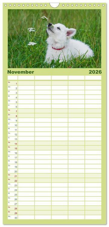 Produktbild: Familienplaner 2026 - Wei&szlig;er Schweizer Sch&auml;ferhund - Ein Tag im Leben einer Hundefamilie mit 5 Spalten (Wandkalender, 21 x 45 cm) CALVENDO