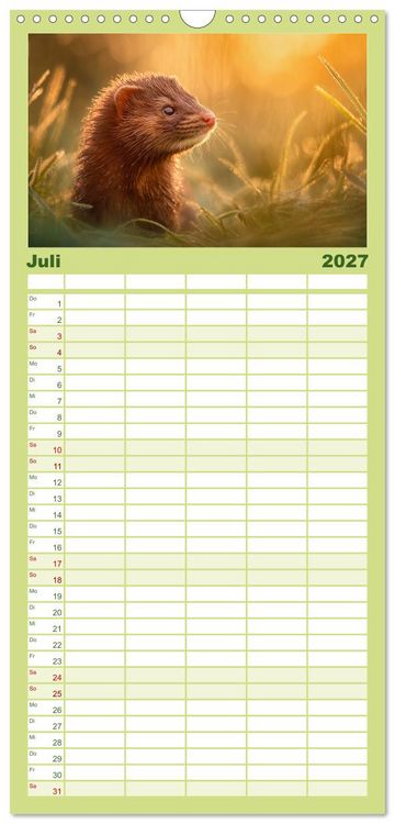 Produktbild: Familienplaner 2027 - Waldgefl&uuml;ster mit 5 Spalten (Wandkalender, 21 x 45 cm) CALVENDO