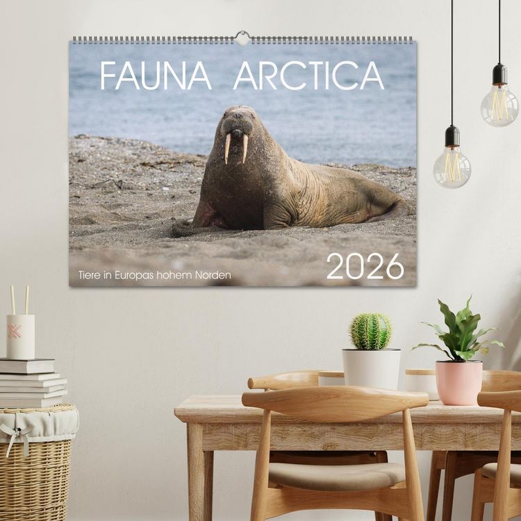 Produktbild: Fauna arctica (Wandkalender 2026 DIN A2 quer), CALVENDO Monatskalender