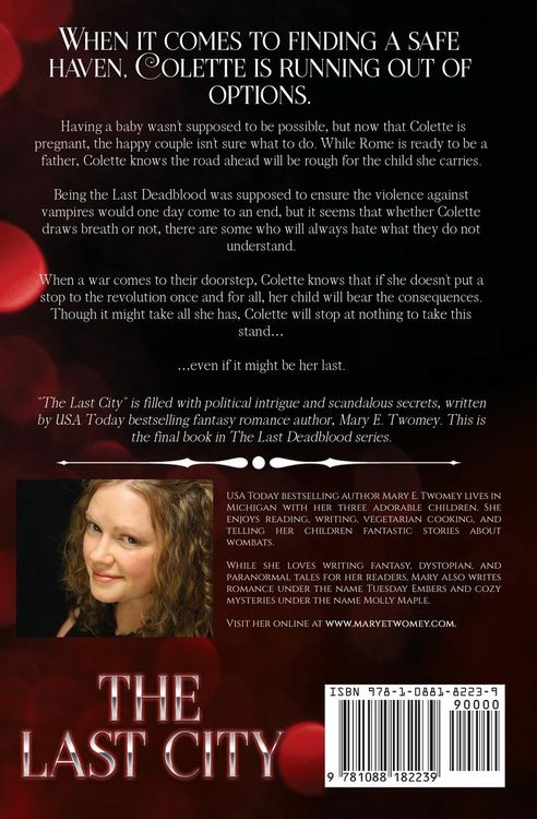 Produktbild: The Last City