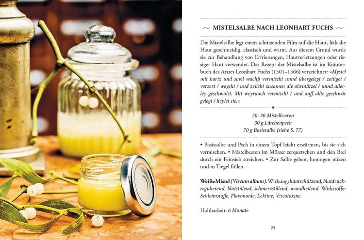 Produktbild: Das große kleine Buch: Heilsalben aus Wald und Wiese