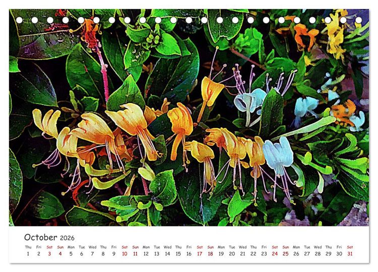 Produktbild: Vivacious Florals (Desk Calendar 2026 DIN A5 landscape), CALVENDO 12 Month DeskCalendar