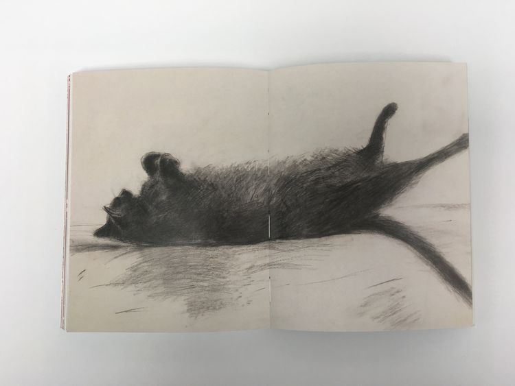 Produktbild: Katzen in der Kunst