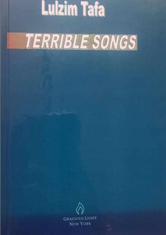 Produktbild: Terrible Songs