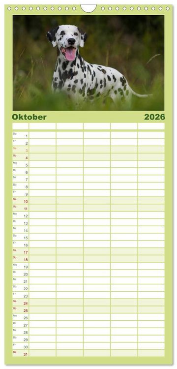 Produktbild: Familienplaner 2026 - Auf den Punkt - Dalmatiner mit 5 Spalten (Wandkalender, 21 x 45 cm) CALVENDO