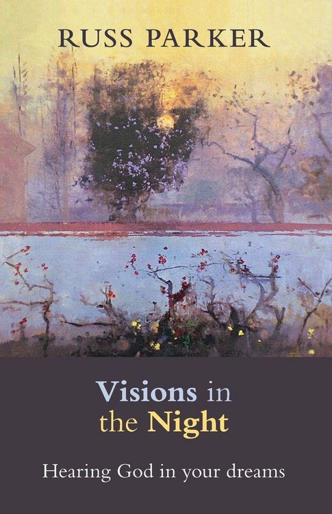 Produktbild: Visions in the Night