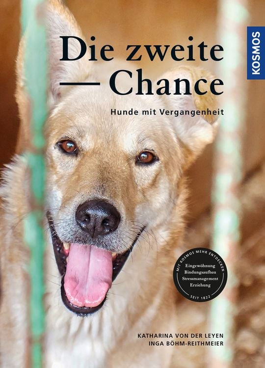 Produktbild: Die zweite Chance
