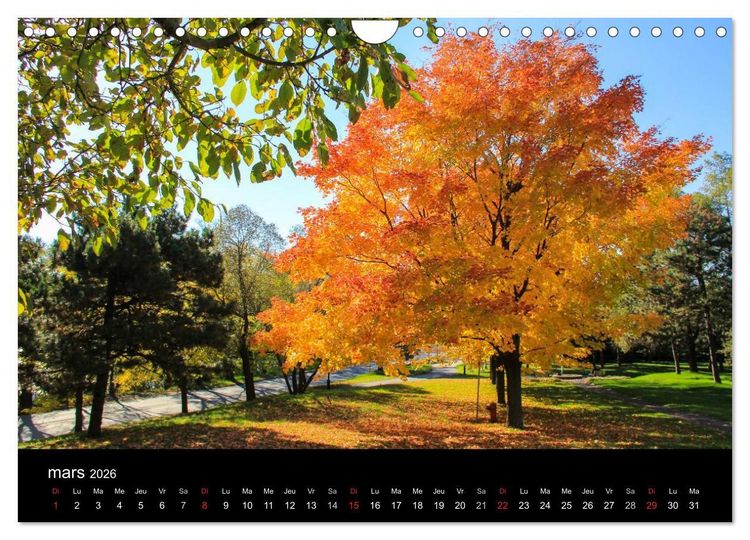 Produktbild: Paysages d'Automne au Qu&eacute;bec (Calendrier mural 2026 DIN A4 vertical), CALVENDO calendrier mensuel