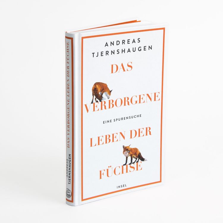 Das verborgene Leben der Füchse