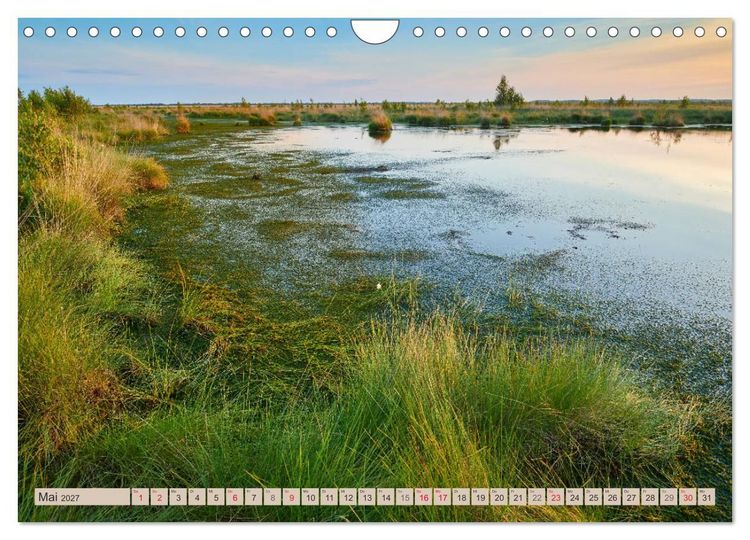 Produktbild: Deutschlands Moore (Wandkalender 2027 DIN A4 quer), CALVENDO Monatskalender
