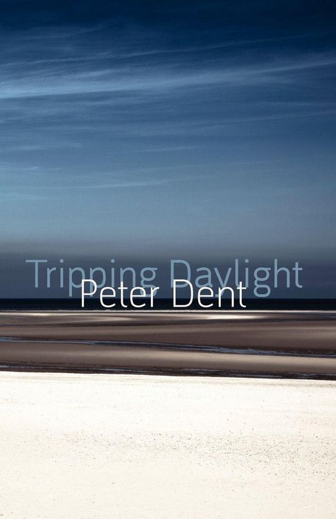 Produktbild: Tripping Daylight