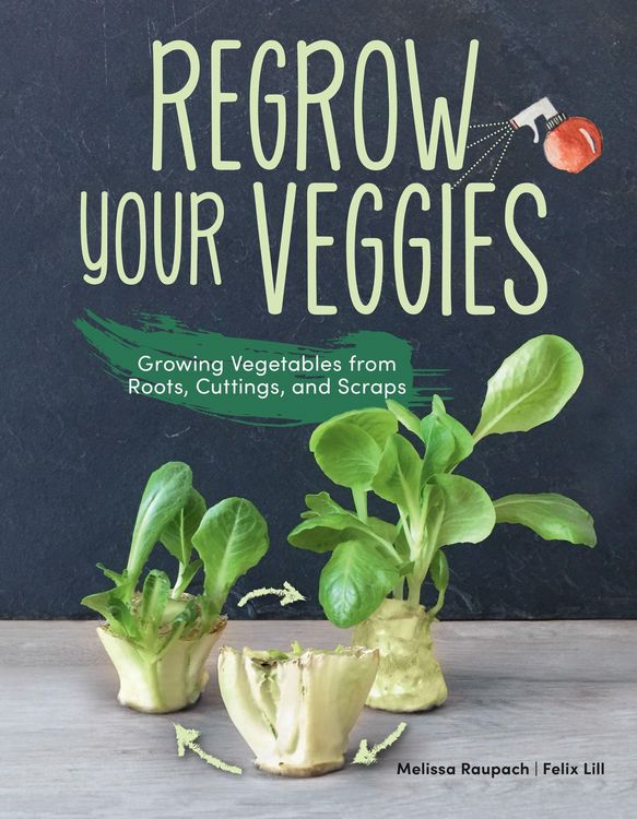 Produktbild: Regrow Your Veggies