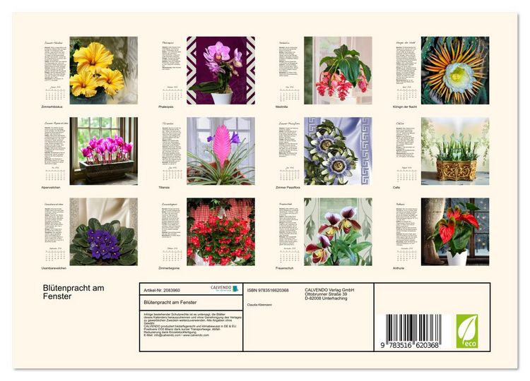 Produktbild: Bl&uuml;tenpracht am Fenster (Wandkalender 2026 DIN A4 quer), CALVENDO Monatskalender